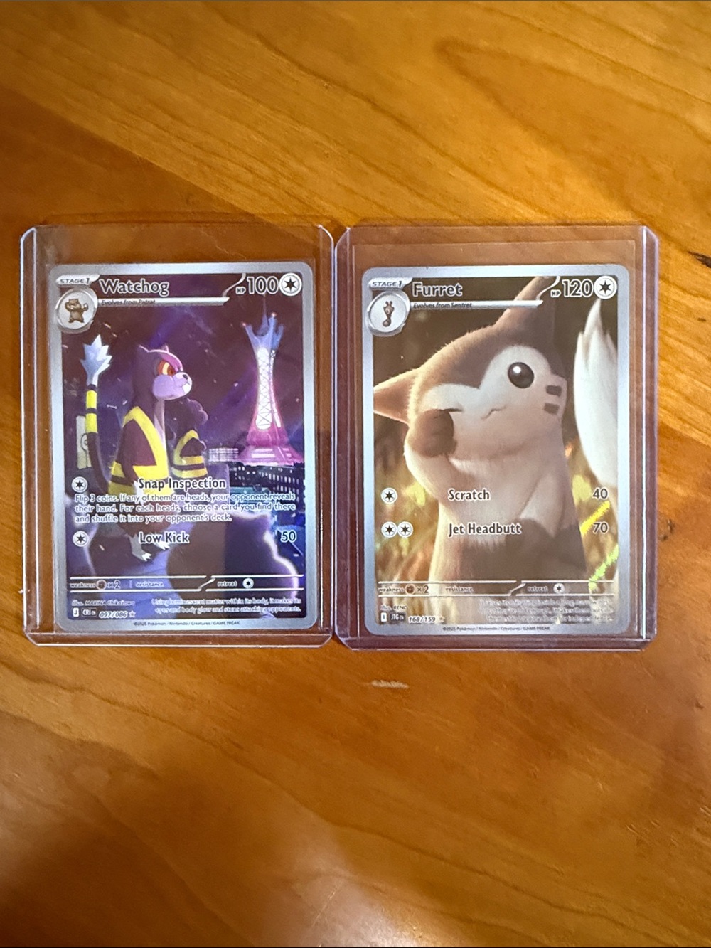 Pokemon Men Other Furret & Watchog Collectible Cards - Purple, Brown, Black